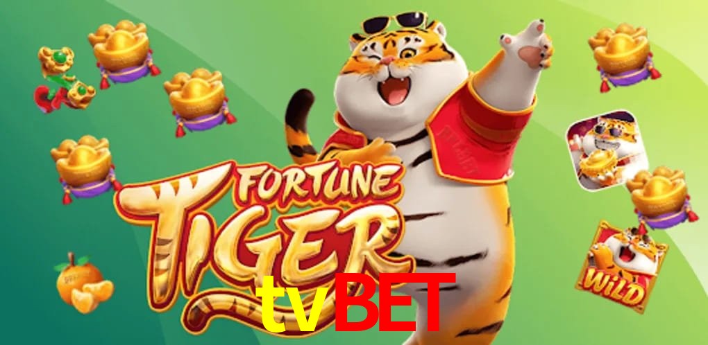 Crash Games Statistics tvbet